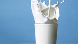 unhealthy milk in a glass