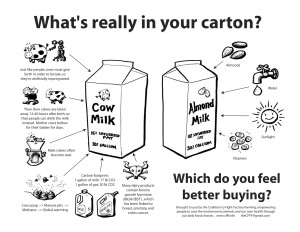 whats in your milk carton 