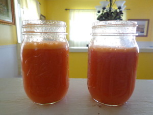 carrot apple lime juice