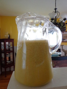 pineapple kiwi juice jar