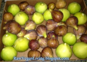 figs - mission and totato figs 