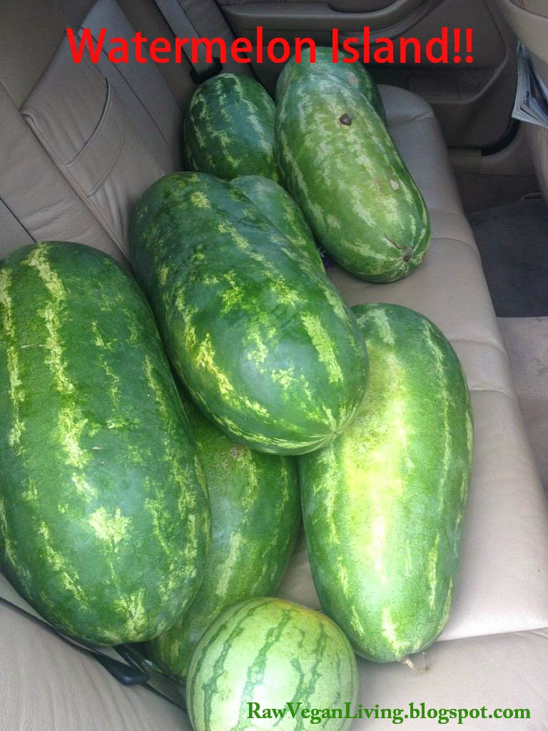 watermelons in car
