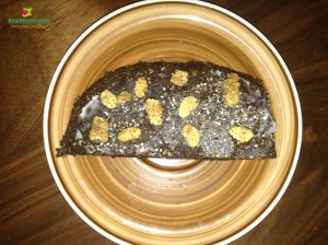 brownies_with_chia_seeds_dried_mulberries_light_toppings
