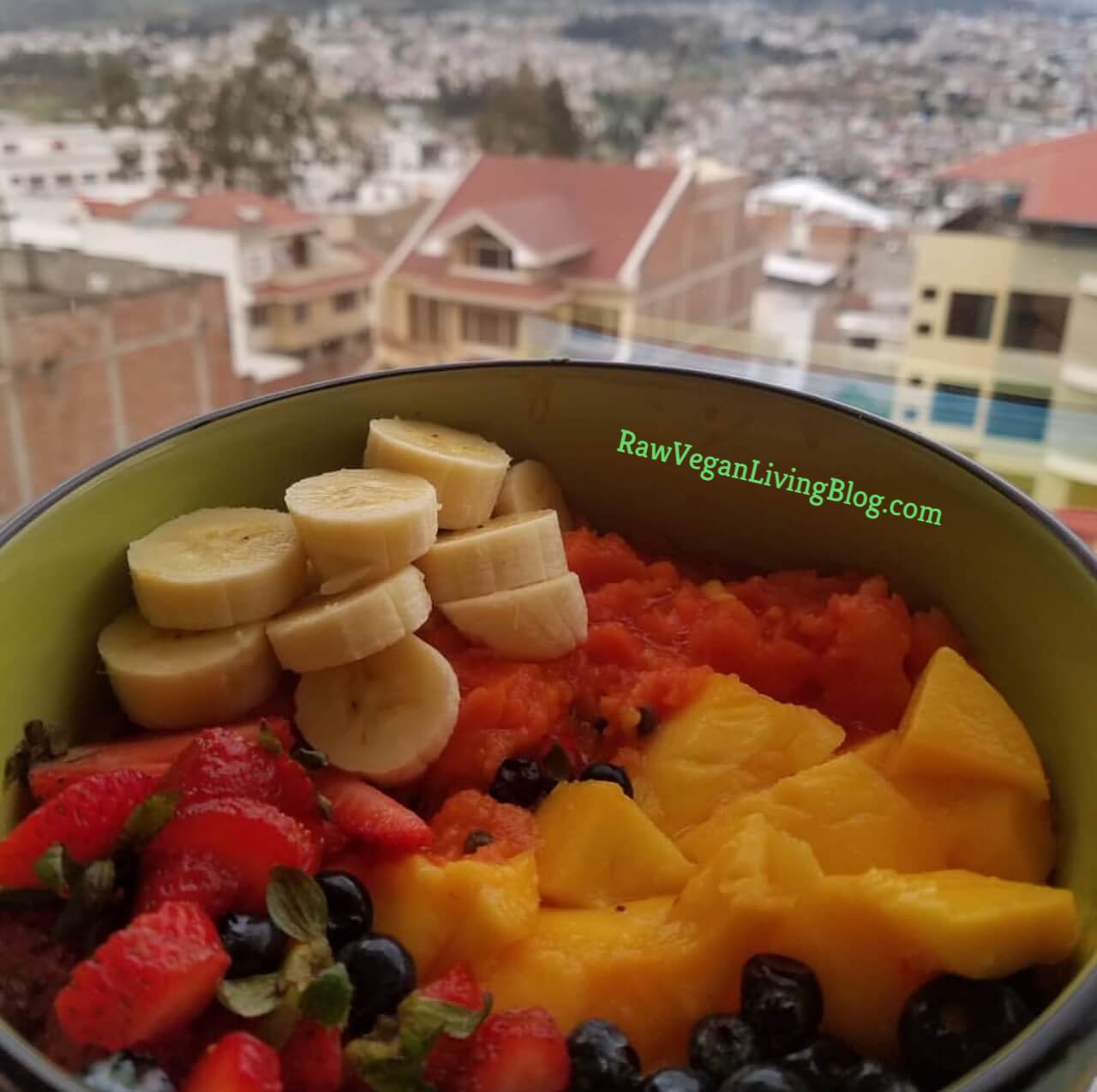 fruit-cereal-bowl-with-a-view (1)