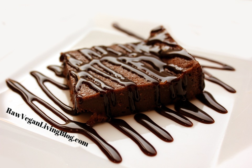 raw_vegan_bronwies_drizzled_with_chocolate_sauce