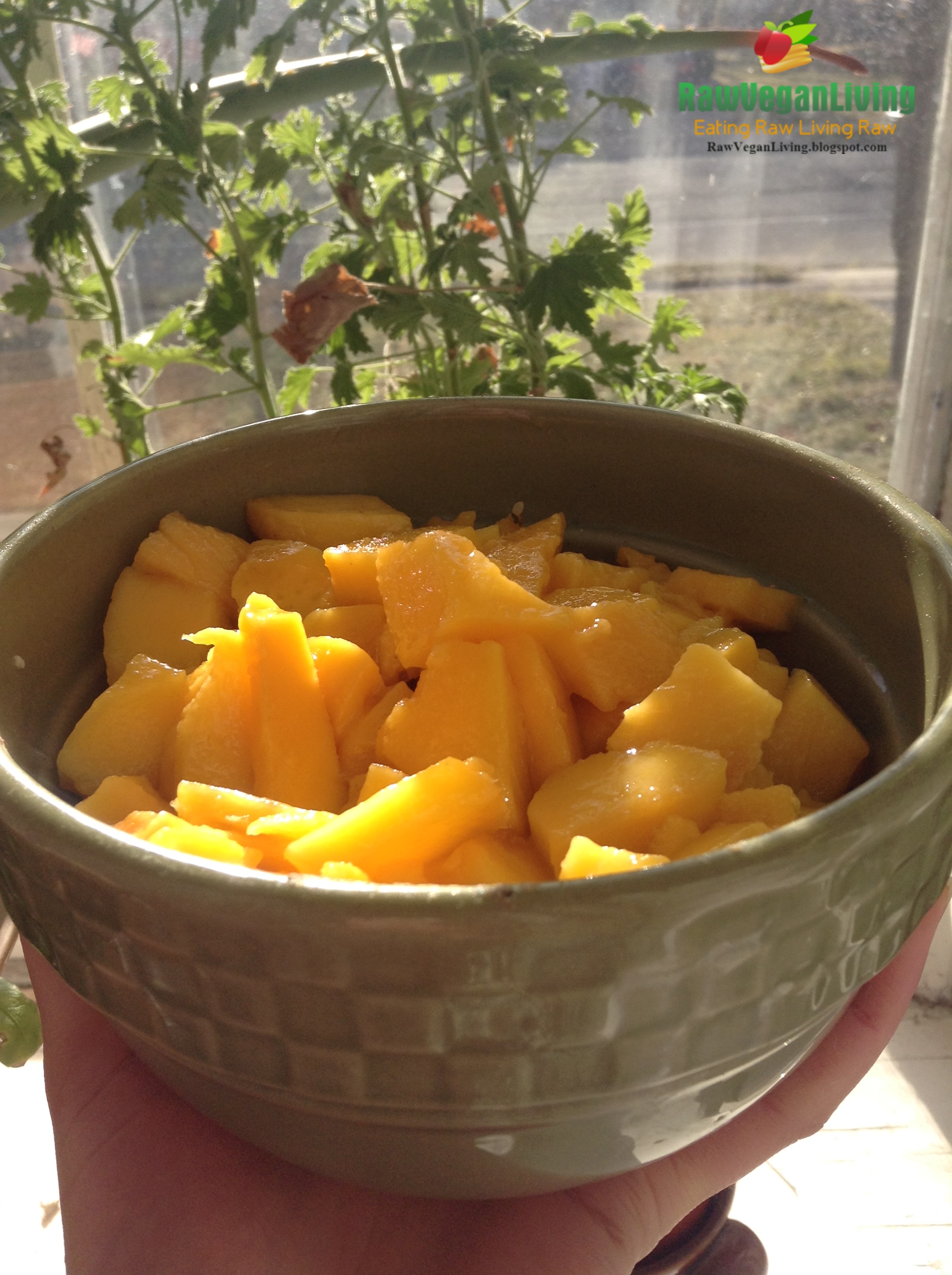 bowl_of_mango_icecream