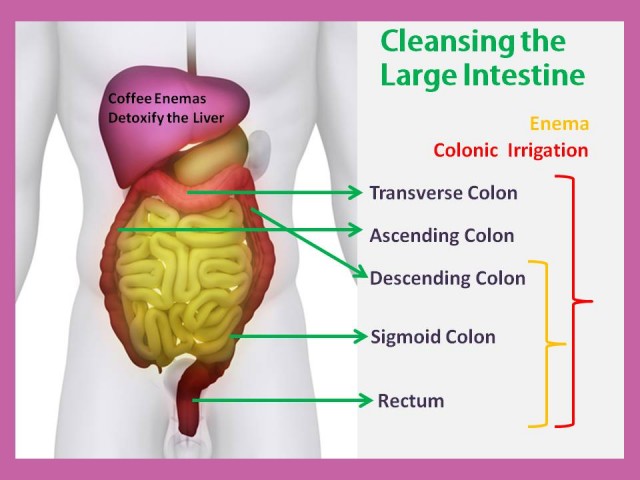 colon cleansing benefits